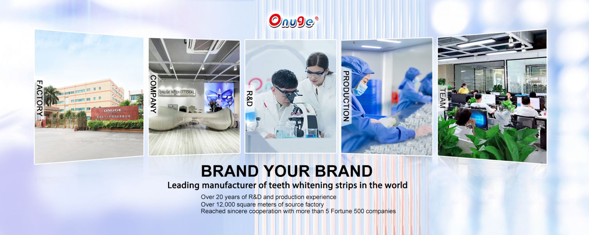 ABOUT US