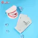 Non Peroxide Teeth Whitening Strips