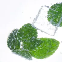 Customizable Flavors