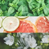 Flavor Experience Customization